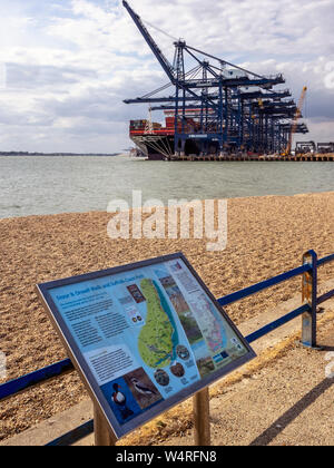 FELIXSTOWE, ESSEX, Großbritannien - 18. JULI 2018: Hafendocks mit Informationstafel Stockfoto