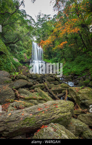 Wasserfall auf Felsen im Herbst Wald, neue Stadt Taipei, Taiwan Stockfoto