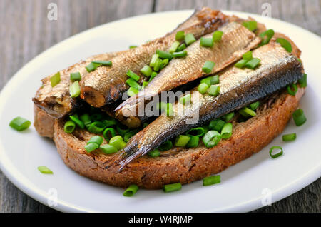 Fisch Sandwich mit Sprotten und grüne Zwiebel auf weiße Platte, Ansicht schließen Stockfoto