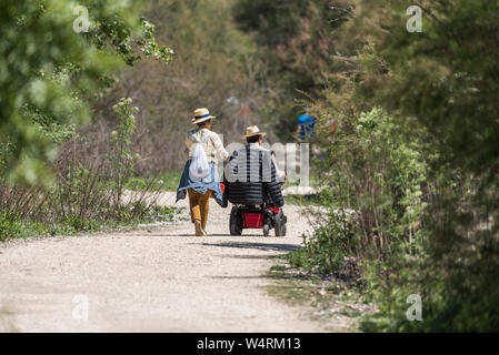 Eine Frau geht mit einem Mann im Rollstuhl auf dem Weg einer mediterranen Wald Stockfoto