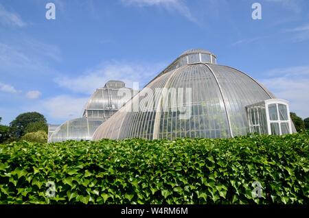 Kew Gardens Palm House Royal Botanic Gardens London England Großbritannien Stockfoto