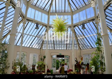 Gemäßigt Haus Perser Royal Botanic Gardens, Kew Gardens London England Großbritannien Stockfoto