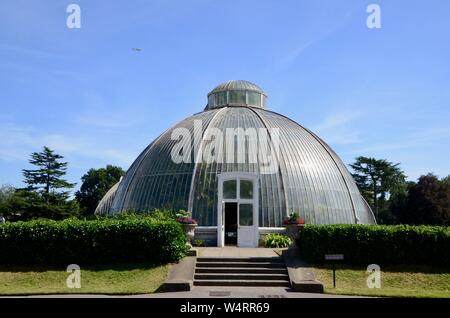 Kew Gardens Palm House Royal Botanic Gardens London England Großbritannien Stockfoto