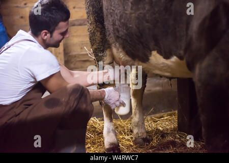 Alltag für die Bauern auf dem Land junge glücklichen Milchkuh Melken von Hand für die Milcherzeugung Stockfoto