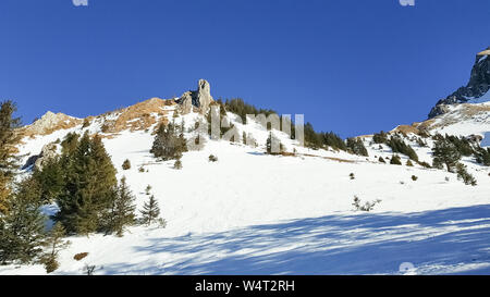 Naturpark Gantrisch im Winter, schneebedeckte Fichten, Picea, Wald im Kanton Bern, Berner Oberland, Schweizer Alpen, Schweiz Stockfoto