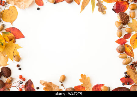 Herbst Blätter, Kastanien, Eicheln und Beeren frame Stockfoto