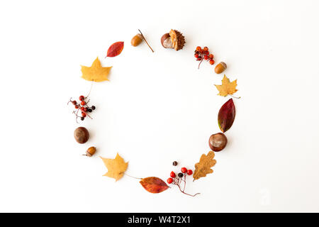 Herbst Blätter, Kastanien, Eicheln und Beeren frame Stockfoto
