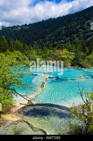 Travertin Teiche, Huanglong Nationalpark, Sichuan, China Stockfoto