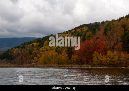 Baikalsee Russland, Farben in den Bäumen am Ufer des chivyrkuysky Bay Stockfoto