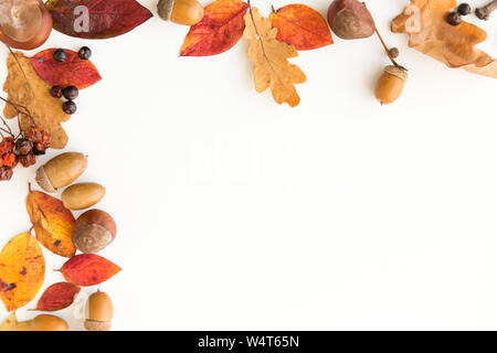 Herbst Blätter, Kastanien, Eicheln und Beeren frame Stockfoto