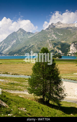 Wandern rund um Silser See - Oberengadin - Schweiz. Stockfoto