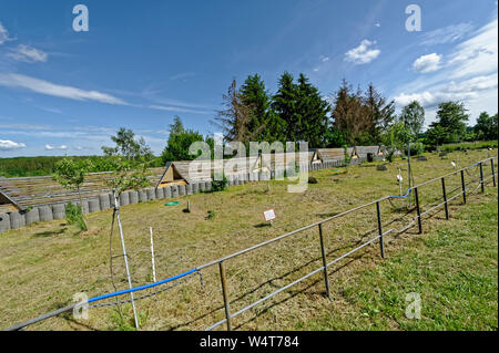 Falknerei Eulenwelt-Falkenhof - Harz, Neuchâtel, Sachsen-Anhalt, Deutschland. Stockfoto