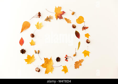 Herbst Blätter, Kastanien, Eicheln und Beeren frame Stockfoto