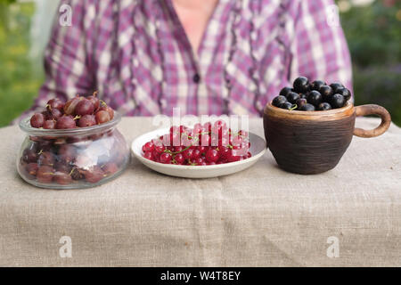 Frau mit mehreren Schalen mit einer Vielzahl von Beeren im Sommer Garten. Stockfoto