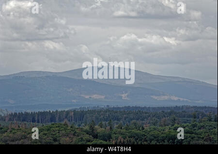 Falknerei Eulenwelt-Falkenhof - Harz, Neuchâtel, Sachsen-Anhalt, Deutschland. Stockfoto