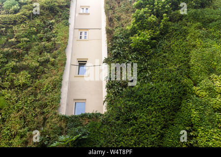 Living Wall Paris - vertikale Garten von Patrick Blanc auf der Rue d'Alsace" in Frankreich Paris, Frankreich, Europa. Stockfoto