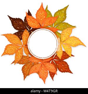 Banner Blätter im Herbst Vektor Stock Vektor