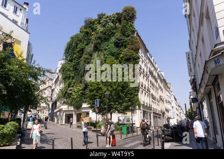 Living Wall Paris - vertikale Garten (L'Oasis d'Aboukir) von Patrick Blanc auf der Rue d'Aboukir in Paris, Frankreich, Europa. Stockfoto