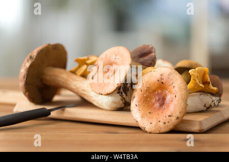 Essbare Pilze auf Holz Schneidebrett und Messer Stockfoto