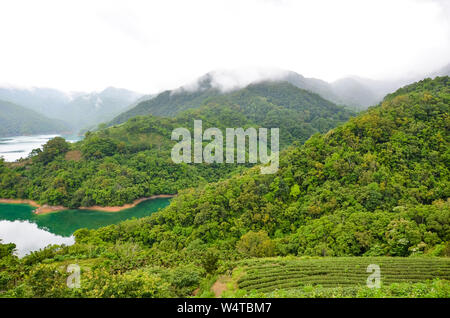 Atemberaubende Landschaft von Tausend Island Lake mit Pinglin Tee Plantage auf einem See Küste. In Nebel fotografiert, Moody Wetter. Tropischer Wald, Teeplantagen und See. Oolong Tee. Chinesischen Landschaft. Stockfoto