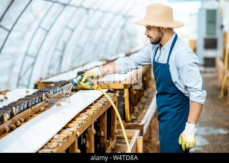 Stattliche Arbeiter waschen Regale mit Wasserpistole, kümmert sich um die Schnecken im Treibhaus der Farm. Konzept der Landwirtschaft Schnecken für Essen Stockfoto