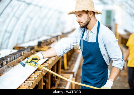 Stattliche Arbeiter waschen Regale mit Wasserpistole, kümmert sich um die Schnecken im Treibhaus der Farm. Konzept der Landwirtschaft Schnecken für Essen Stockfoto