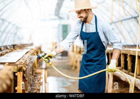 Stattliche Arbeiter waschen Regale mit Wasserpistole, kümmert sich um die Schnecken im Treibhaus der Farm. Konzept der Landwirtschaft Schnecken für Essen Stockfoto