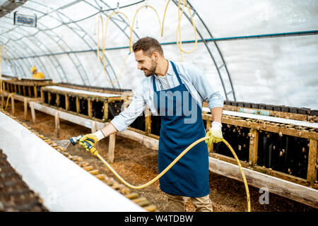 Stattliche Arbeiter waschen Regale mit Wasserpistole, kümmert sich um die Schnecken im Treibhaus der Farm. Konzept der Landwirtschaft Schnecken für Essen Stockfoto