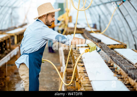 Stattliche Arbeiter waschen Regale mit Wasserpistole, kümmert sich um die Schnecken im Treibhaus der Farm. Konzept der Landwirtschaft Schnecken für Essen Stockfoto