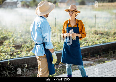 Zwei junge schön gekleidet Landwirte sprechen über das Ackerland mit automatische Bewässerung bei Sonnenuntergang Stockfoto
