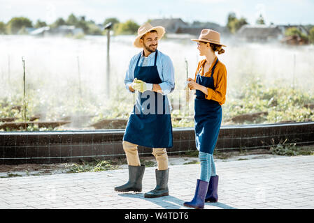Zwei Jungen, fröhlichen Bauern gehen auf das Ackerland für Schnecken wachsen mit automatische Bewässerung bei Sonnenuntergang Stockfoto