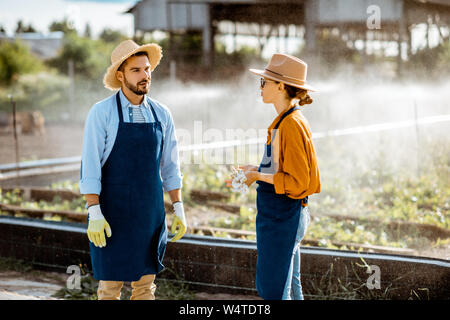 Zwei junge schön gekleidet Landwirte sprechen über das Ackerland mit automatische Bewässerung bei Sonnenuntergang Stockfoto