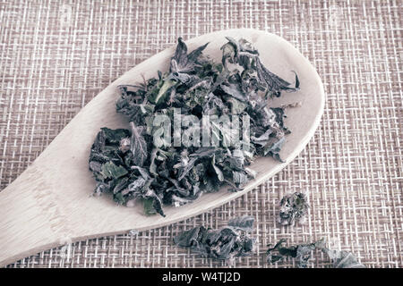 Getrocknete Blüten und Blätter von motherwort, eine wertvolle Heilpflanze mit einer beruhigenden Wirkung. Es ist für die Zubereitung von Infusionen verwendet. Stockfoto