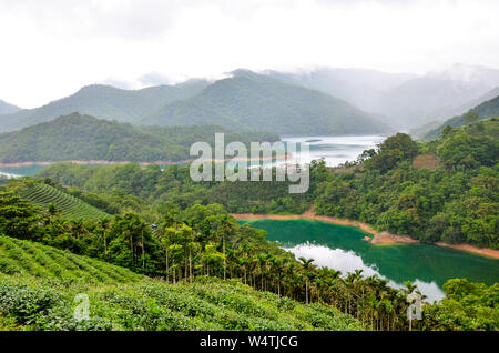 Schöne Landschaft durch Tausend Island Lake mit Pinglin Tee Plantage in Taiwan. Von grünen tropischen Wald umgeben. Türkisblaues Wasser. Moody Wetter. Amazing China, Asien. Stockfoto