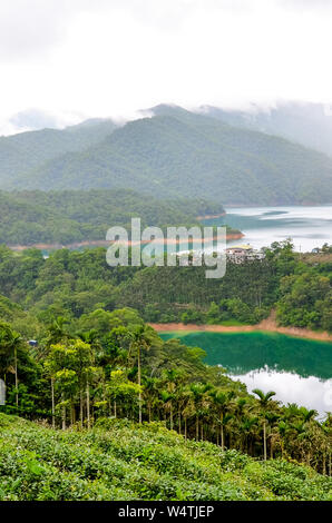 Vertikale Fotografie von erstaunlichen 000 Island Lake und Teeplantagen auf die angrenzenden Hänge. Grünen tropischen Wald um. Misty Wetter. Chinesische Landschaft, Asien. Stockfoto