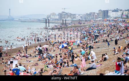 Brighton UK 25. Juli 2019 - Brighton Beach ist auf einen anderen heißen, sonnigen Tag in Großbritannien verpackt als Meteorologen prognostizieren Rekordtemperaturen für Teile des Südostens. Foto: Simon Dack/Alamy leben Nachrichten Stockfoto
