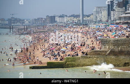 Brighton UK 25. Juli 2019 - Brighton Beach ist auf einen anderen heißen, sonnigen Tag in Großbritannien verpackt als Meteorologen prognostizieren Rekordtemperaturen für Teile des Südostens. Foto: Simon Dack/Alamy leben Nachrichten Stockfoto