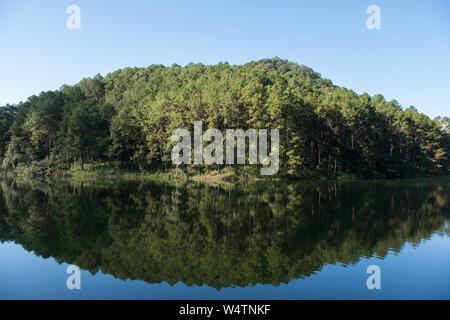 Reflexion aus dem klaren Wasser der Pinienwald um den Stausee im Nationalpark. Stockfoto