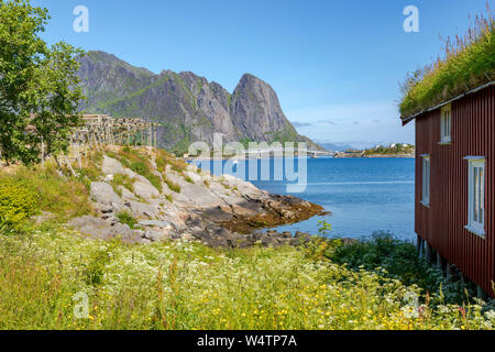 Fisch Trockner für Kabeljau, auf der Küstenlinie von Reine, auf der Insel Moskenesøya in der Inselgruppe Lofoten, nördlich des Polarkreises, Nordland, Norwegen. Stockfoto