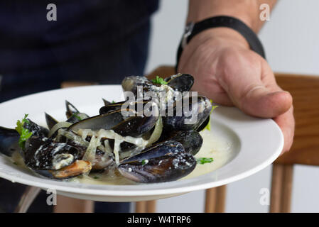 Gekochte Miesmuscheln in Wein und Creme mit grünen und Zwiebeln serviert auf weiße Platte Stockfoto