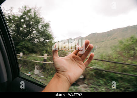 Red Apple Core in männlicher Hand im Auto. Stockfoto