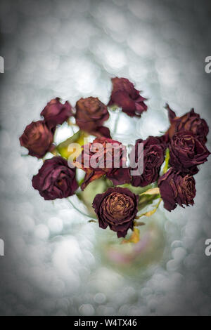 Getrocknete Blumen detaillierte Makroaufnahmen. Als Dekoration für Innen- und Web-design. Dunkle Bukett von getrockneten Rosen. Getrocknete Rosen im Blitzlicht. Stockfoto