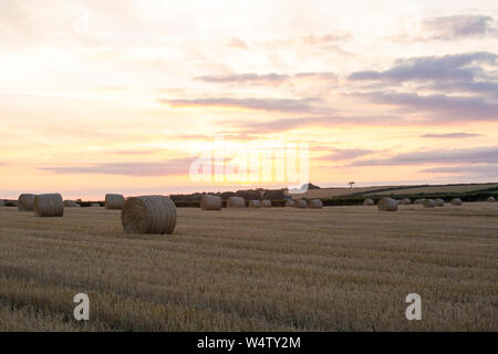 Sonnenuntergang über einem Gebiet der Vor kurzem Schnitt Stroh mit runden Strohballen in die Stoppeln Feld Stockfoto