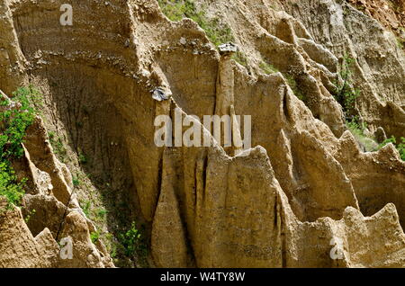 In der Nähe der berühmten Stob Pyramiden mit ungewöhnlichen Form gelbe und rote Felsformationen, grüne Büsche und Bäume um, West Anteil der Rila Gebirge Stockfoto