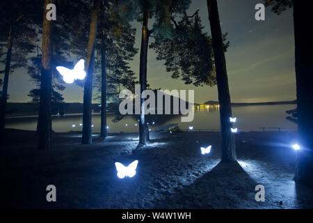 Licht Malerei Schmetterling im Wald Stockfoto