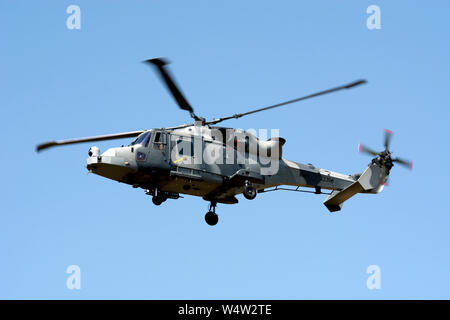 AgustaWestland AW159 Wildcat an Wellesbourne Airfield, Warwickshire, Großbritannien (Armee-ZZ 398) Stockfoto