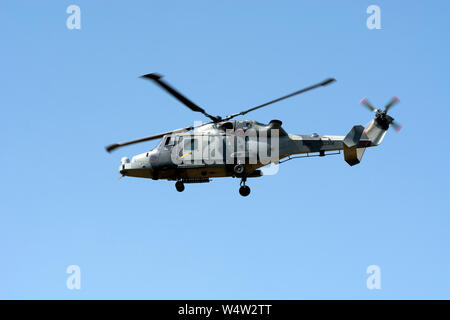 AgustaWestland AW159 Wildcat an Wellesbourne Airfield, Warwickshire, Großbritannien (Armee-ZZ 398) Stockfoto