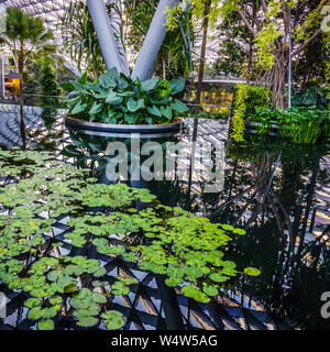 Singapur - Apr 16, 2019: Jewel Changi Airport ist eine gemischte Entwicklung am Flughafen Changi in Singapur, am 17. April 2019 eröffnet. Stockfoto