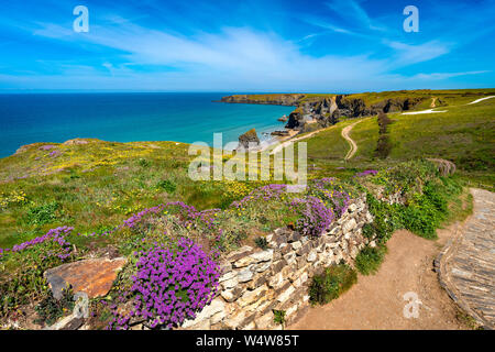 Blumenbewachsenen Cornwall Wände führt das Auge aus Carnewas Punkt herüber Bedruthan Steps der Park Kopf unter herrliche Sommer Himmel, die in die Vorgewende auf der Stockfoto