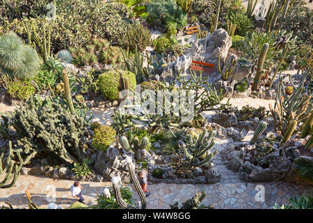 MONTE CARLO, MONACO - 20. AUGUST 2016: Der exotische Garten mit seltenen sukkulenten Pflanzen und Menschen an einem sonnigen Sommertag in Monte Carlo, Monaco.